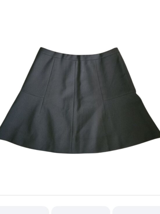 Dresses & Skirts - Black Mini Skirt